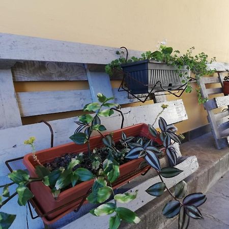 Studio Apartman Fleiss Apartment Samobor Bagian luar foto