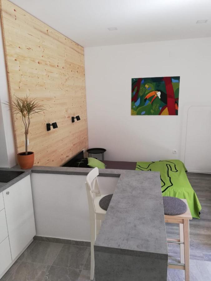 Studio Apartman Fleiss Apartment Samobor Bagian luar foto