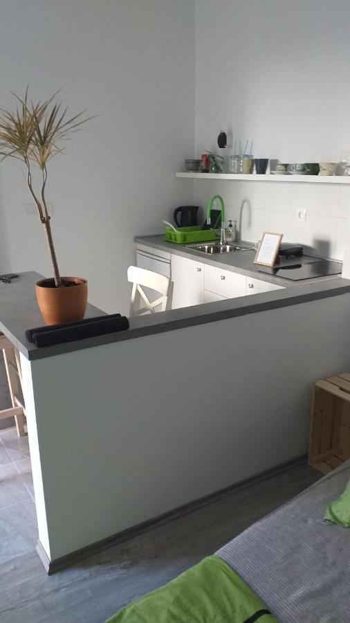 Studio Apartman Fleiss Apartment Samobor Bagian luar foto