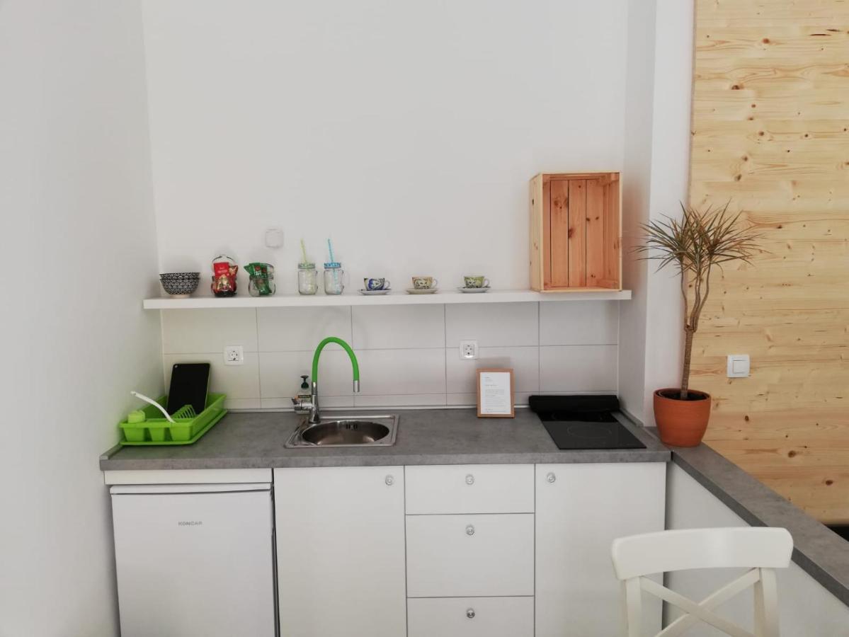 Studio Apartman Fleiss Apartment Samobor Bagian luar foto