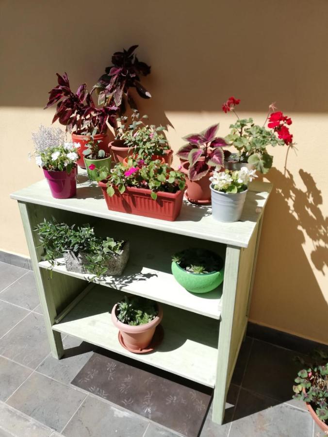 Studio Apartman Fleiss Apartment Samobor Bagian luar foto